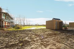 42-Moerasorchidee 29 - Lelystad.JPG